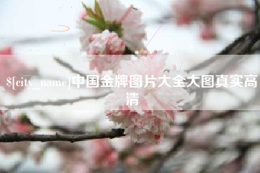湘潭中国金牌图片大全大图真实高清