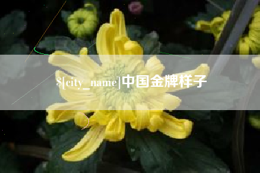 湘潭中国金牌样子