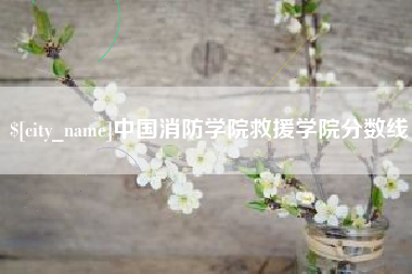 湘潭中国消防学院救援学院分数线