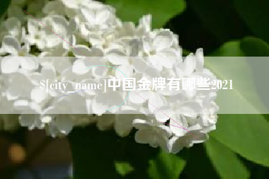 湘潭中国金牌有哪些2021