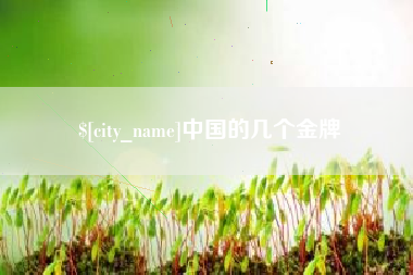 湘潭中国的几个金牌