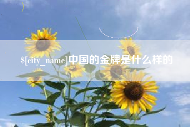 湘潭中国的金牌是什么样的