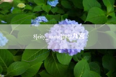 湘潭2022九宫