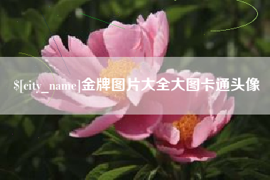 湘潭金牌图片大全大图卡通头像