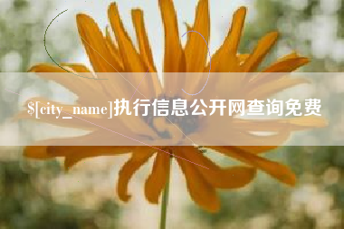 湘潭执行信息公开网查询免费